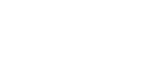 dd logo wt
